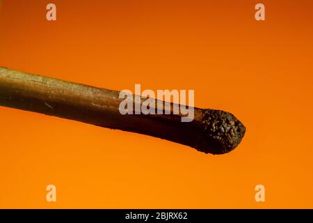 Burned match in the coals on Lush Lava background. close up copy space Stock Photo