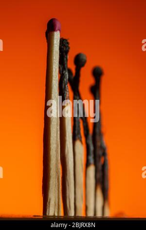 seven matches in a row in the corners of a leadership chart on a Lush Lava background. close up copy space Stock Photo