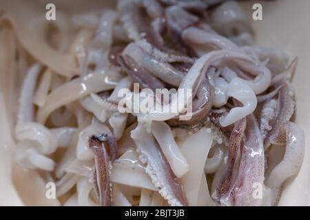 sliced squids ready for marinate and fry for calamari rings Stock Photo