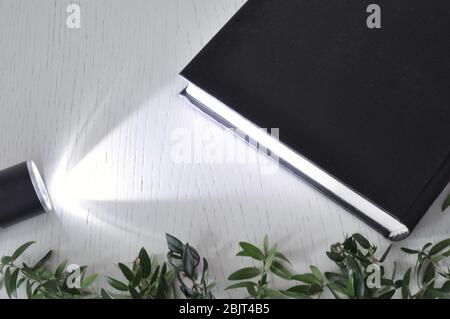 A beam of light from a flashlight is directed at a book on a rustic table. Learning is light. Stock Photo