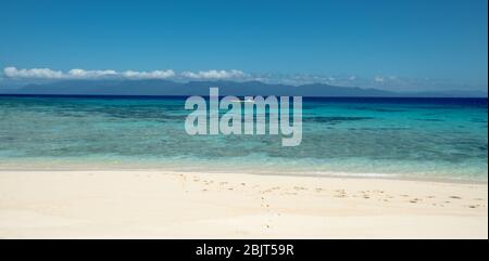 Great Barrier Reef, Low Isles Stock Photo