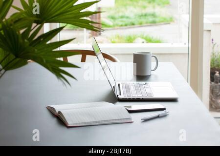 Laptop computer on a table with coffee mug, notepad, mobile phone and pencil. A green palm flower in the foreground and view outside a window to a gar Stock Photo