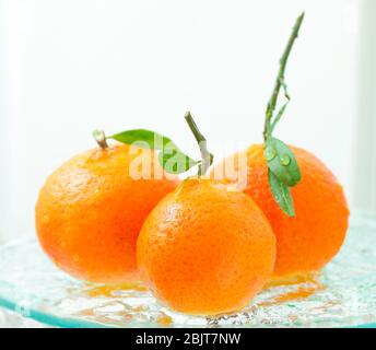 three orange mandarins with a branch and leaves stand in water on glass on a white background Stock Photo