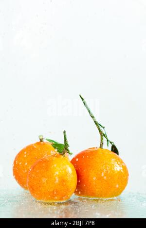 three orange tangerines with a branch and leaves stand in water on glass under drops of water on a white background copy space Stock Photo