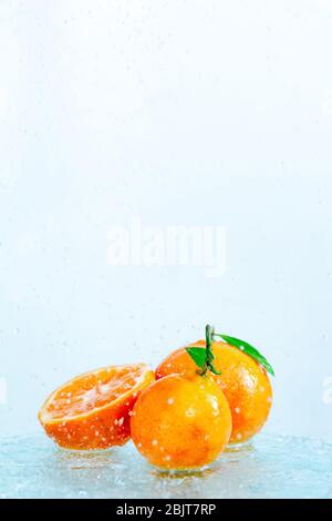 three orange tangerines with a branch and leaves stand in water on glass under drops of water on a white background copy space Stock Photo