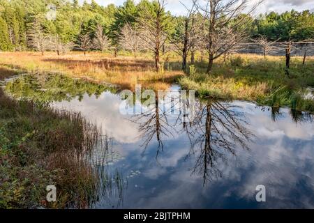 The Birch Hill Dam Reservation in Royalston, Massachusetts Stock Photo