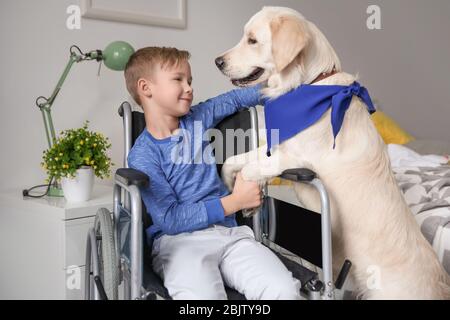 Boy in wheelchair with service dog indoors Stock Photo