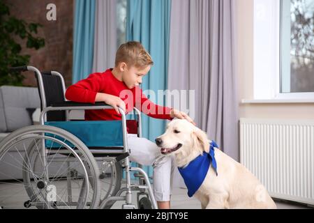 Boy in wheelchair with service dog indoors Stock Photo