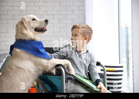 Boy in wheelchair with service dog indoors Stock Photo