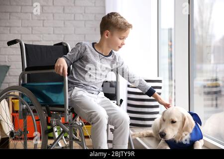 Boy in wheelchair with service dog indoors Stock Photo