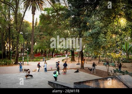 People and Dogs handing out in Parque España in Condessa Neighborhood, Mexico City, Mexico Stock Photo