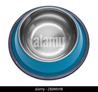 Empty Blue Dog Food Bowl Isolated on White. Stock Photo