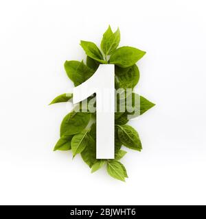 Number one with green leaves. Minimal summer concept. Flat lay. Stock Photo