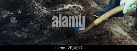farmer digs a hole by shovel in garden, feet and shovel, agriculture, gardening work, preparing cultivation, autumn Stock Photo