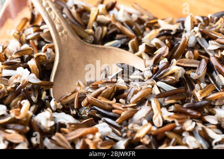 Cooked Minnesota Wild Rice in a Bowl Stock Photo
