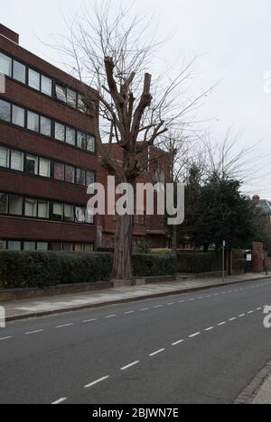 1930s Architecture, Art Deco Architecture Red Brick Stone, Royal Masonic Hospital 1 Coulter Rd, Hammersmith, London W6 0BJ by Thomas S Tait Stock Photo