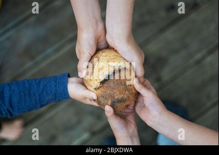 Hands of a family holding bread bun in a conceptual image of poverty and hunger. Stock Photo