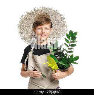 Cute little gardener on white background Stock Photo