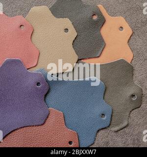 Set of colorful leather samples on dark leather, abstract square background, choice of colors, shades color. Top view Stock Photo