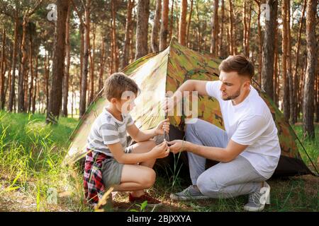 Father and his little son putting up camping tent in forest Stock Photo