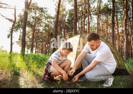 Father and his little son putting up camping tent in forest Stock Photo