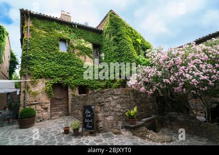 Ivy covered house in tiny Cività di Bagnoregio, Civita Bagno, an ancient Etruscan  hiulltop village perched atop volcanic tufta rock in southern Tusca Stock Photo