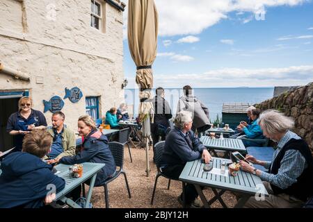 Coffee shop and bakery along the coast, Crail, Kingdom of Fife, Scotland, UK, Europe Stock Photo