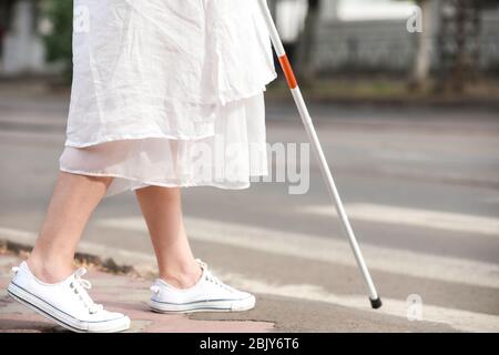 Senior blind woman crossing the street with help of guide dog Stock ...