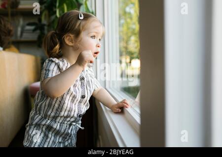 Girl (2-3) looking through window Stock Photo
