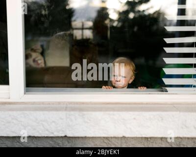 Girl (2-3) looking through window Stock Photo