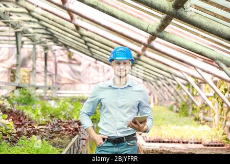 Portrait of male agricultural engineer in greenhouse Stock Photo