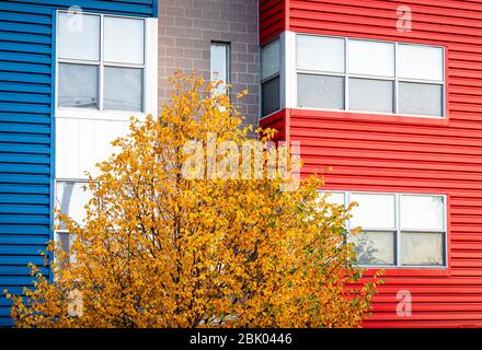 Primary colors in Denver's RiNo art district, Denver, Colorado, USA. Stock Photo