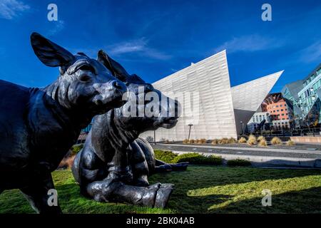Scottish Angus Cow and Calf (2001) by artist Dan Ostermiller outside the Denver Art Museum in Denver, Colorado, USA. Stock Photo