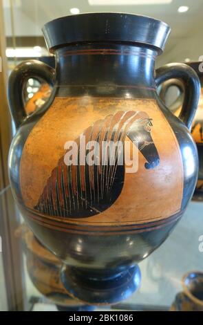 Horse head, Attic black-figure amphora, by the Painter B1 or the Aachen Horse-head Painter, 575-550 BC, Stock Photo