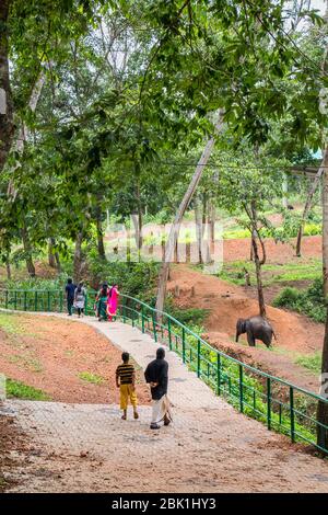 tourists walking into the entrance of kottoor kappukadu elephant rehabilitation centre,kottoor,thiruvananthapuram,kerala,INDIA,PRADEEP SUBRAMANIAN Stock Photo