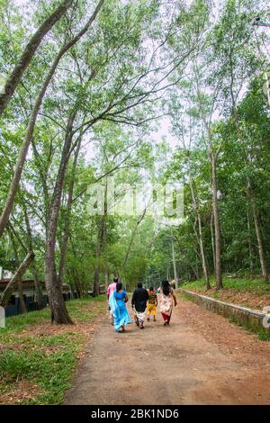 tourists walking into the entrance of kottoor kappukadu elephant rehabilitation centre,kottoor,thiruvananthapuram,kerala,INDIA,PRADEEP SUBRAMANIAN Stock Photo