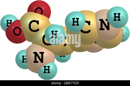 Histidine (His) is an amino acid with an imidazole functional group. It ...