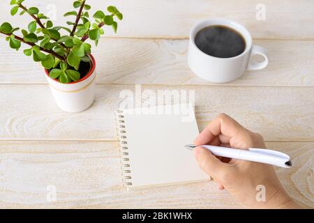 Copy space on a spring notepad. Woman hand holding ballpoint pen and going to write in paper notepad near small potted plant and cup of coffee. Stock Photo