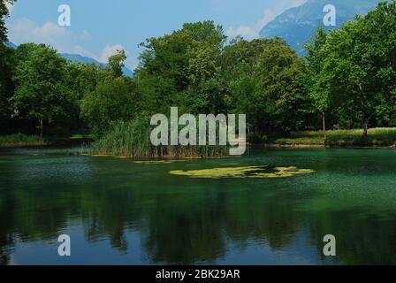 a splendid mountain lake in the forests of the Dolomites Stock Photo