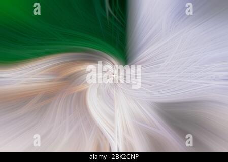 Abstract twisted fractal background,digital twirl design,abstract background Stock Photo