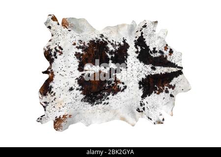entire spotted white and brown cow skin on white background Stock Photo