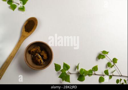 A few pieces of chaga and a wooden spoon with ground mushroom on a white background. Top view. Copy space. Stock Photo