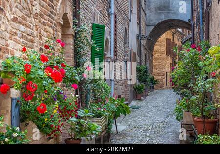 Acquaviva Picena a small village in Ascoli Piceno province, region Marche in Italy. characteristic narrow street of the medieval village Stock Photo