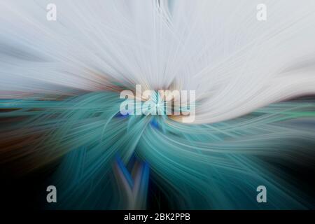 Abstract twisted fractal background,digital twirl design,abstract background Stock Photo