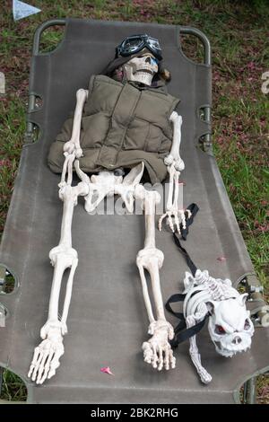 Life size human skeleton displayed and depicted as a soldier wearing helmet and goggles and laying on a camp bed.  A model skeleton of a dog lays besi. Stock Photo