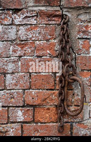 Terracotta Red brick wall with a rusty chain and loop attached. Stock Photo