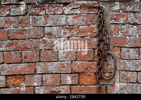 Terracotta Red brick wall with a rusty chain and loop attached. Stock Photo