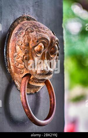 Chinese door knob knockers. Lion head door knockers, old door in Hutong narrow alley in Beijing, China. Chinese culture architectural details image st Stock Photo