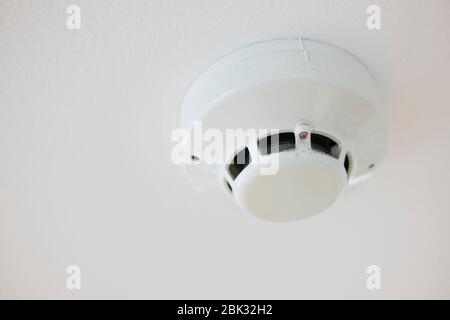 Ceiling mounted fire detector with dust on it. Stock Photo