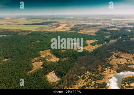 Aerial View Of Deforestation Area Landscape. Green Pine Forest In Deforestation Zone. Top View Of Forest Landscape. Drone View. Bird's Eye View. Stock Photo